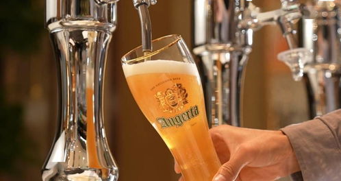 青島 啤酒之都的藍莓酒新篇——第31屆青島國際啤酒節(jié)盛大啟幕