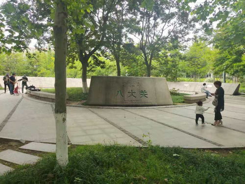 青島一日 海風(fēng)、親人、藍莓酒香