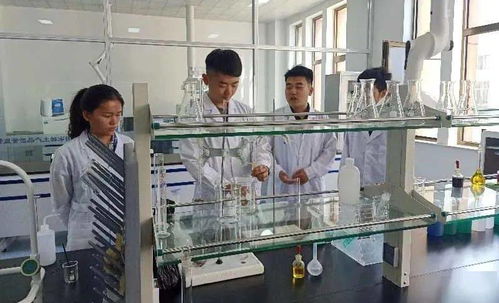 科技為稀土新材料加工基地披“綠裝” 新材料技術研發引領綠色發展